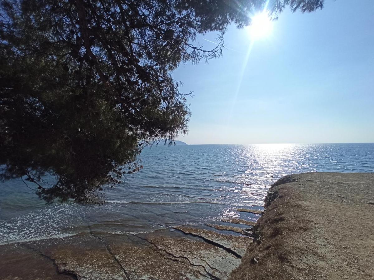 Apartamento Ete Indien - Plage - Wifi - Host Provence La Ciotat Exterior foto